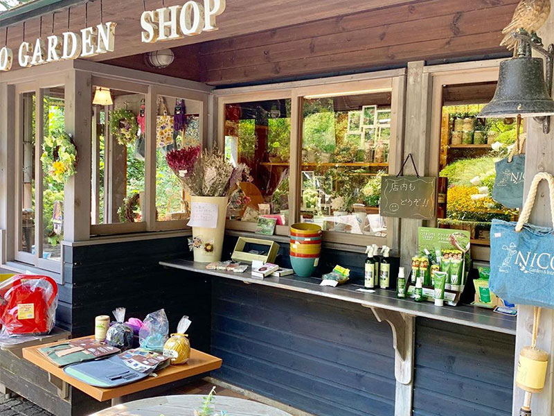 shop